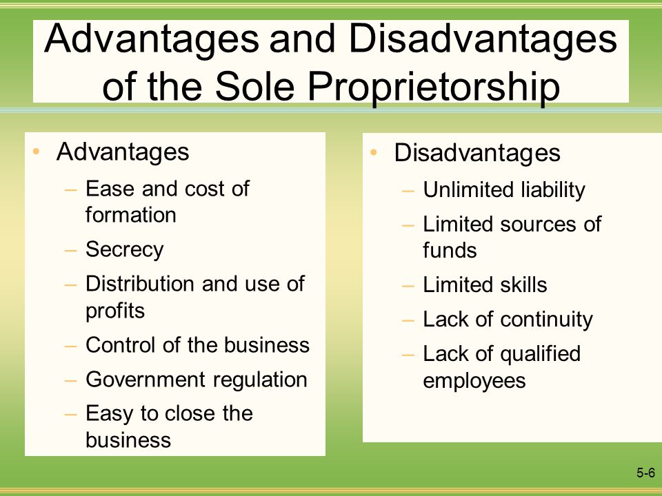 what are five advantages of sole proprietorship?